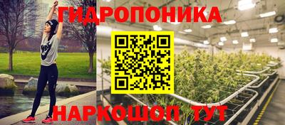 apvp Кандалакша