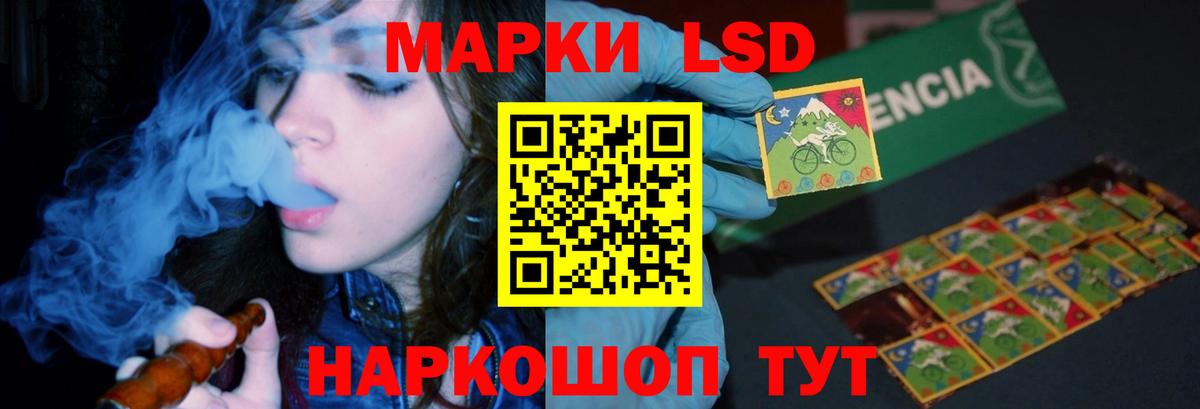 Бошки Шишки Котовск