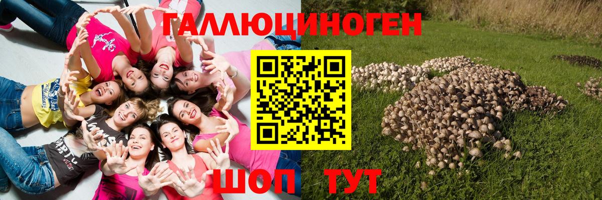 Галлюциногенные грибы мухоморы Котовск